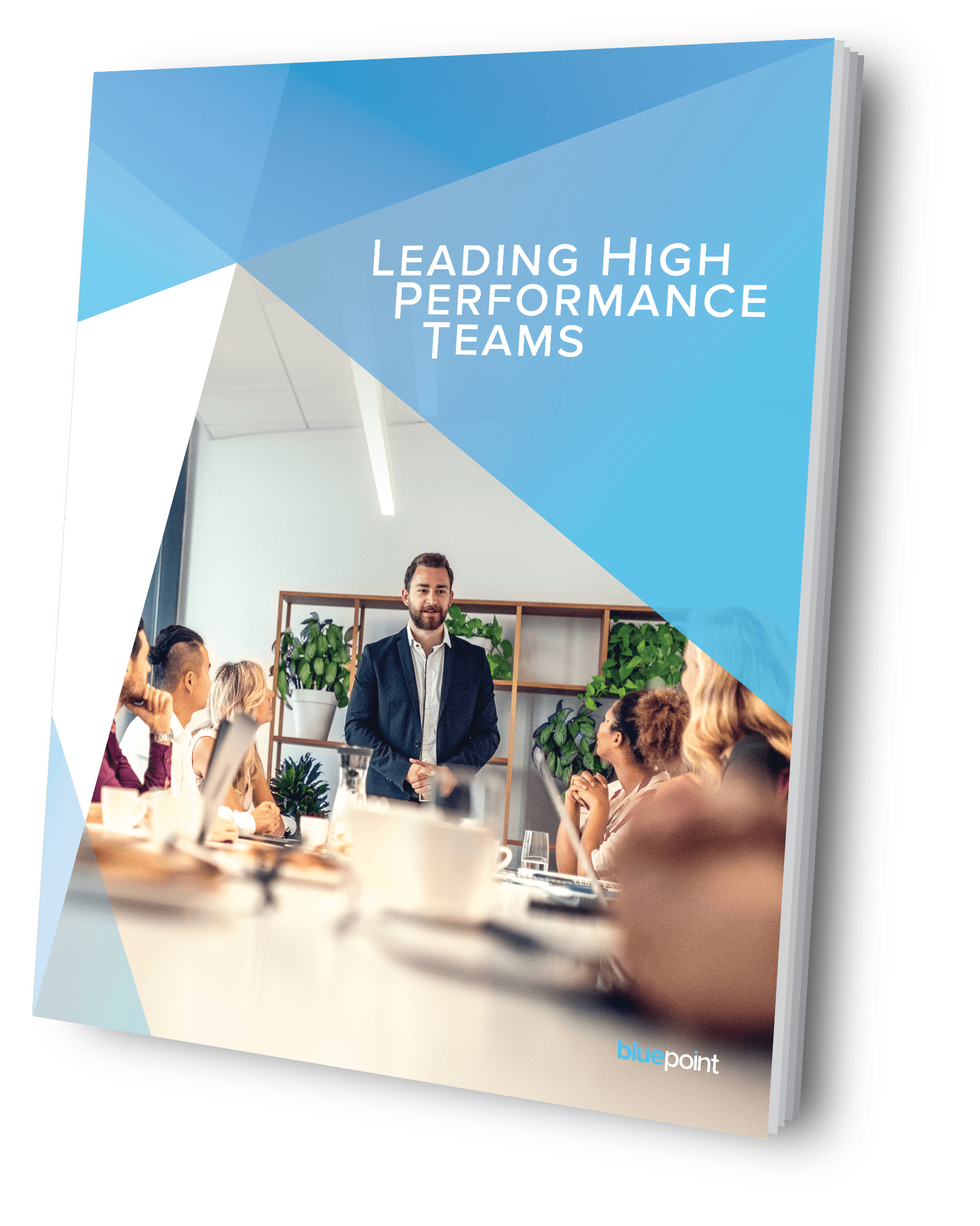 Leading High-Performance Teams