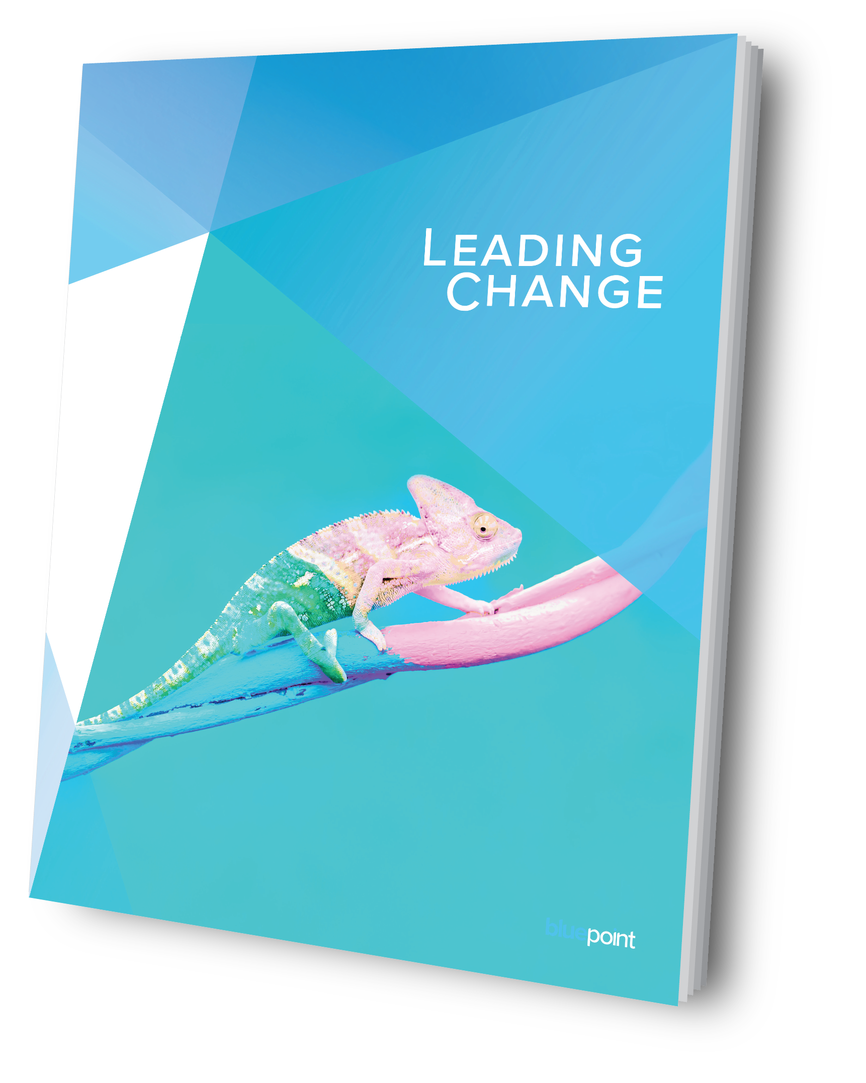 Leading Change