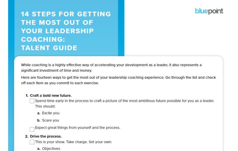 14 Steps Leadership Coaching Talent Guide Product Image
